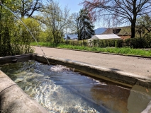 Running route in Zurich - Fountain