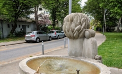 Running route in Zurich - Hotel Placid running route - Fountain