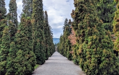 Running route in Zurich - Hotel Placid running route - Friedhof Sihlfeld